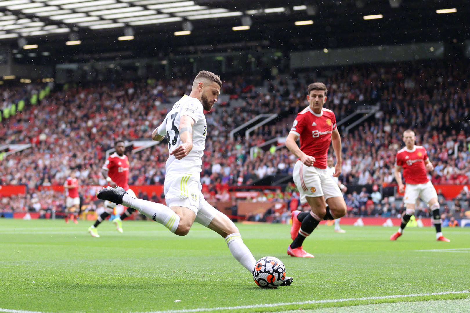 牌与运动激 牌与运动激